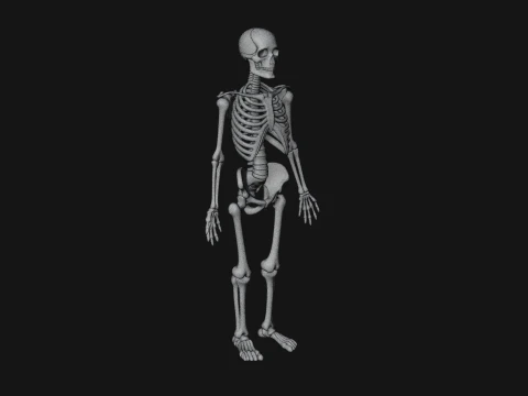 Skeleton Warrior Statue Design 21 - 3D Print Model 3D Print Model