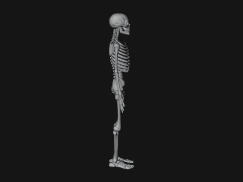 Skeleton Warrior Statue Design 21 - 3D Print Model 3D Print Model