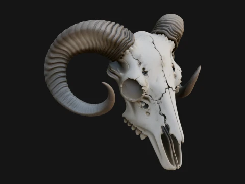 Ram Skull Wall Mount Design 11 - 3D Print Model 3D Druckmodell