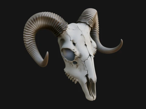 Ram Skull Wall Mount Design 12 - Modello di stampa 3D Modello di stampa 3D