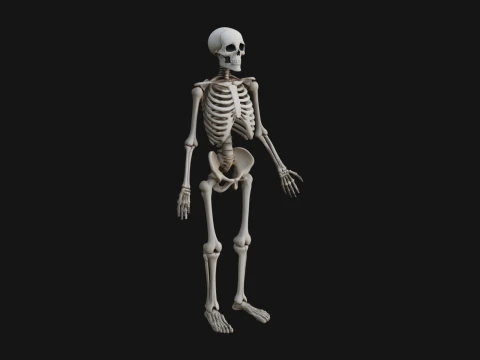 Skeleton Warrior Statue Design 24 - 3D Print Model 3D Print Model
