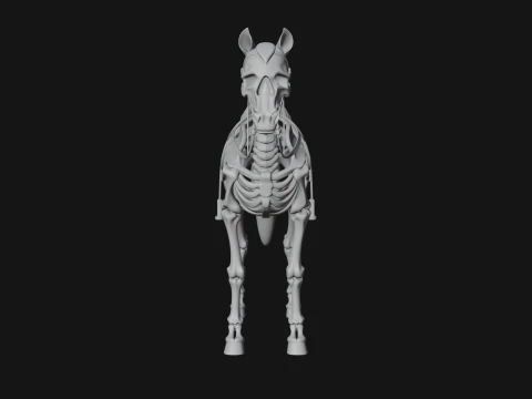Skeleton Horse Statue Design 1 - 3D Print Model 3D Print Model