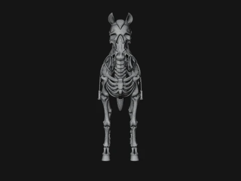 Skeleton Horse Statue Design 1 - 3D Print Model 3D Print Model