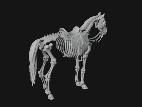 Skeleton Horse Statue Design 3 - 3D Print Model 3D Print Model