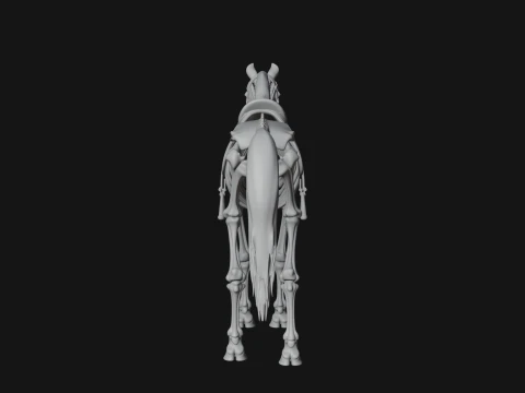 Skeleton Horse Statue Design 3 - 3D Print Model 3D Print Model
