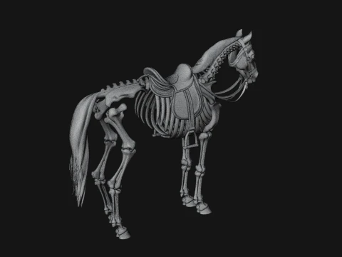 Skeleton Horse Statue Design 3 - 3D Print Model 3D Print Model