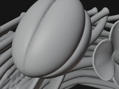 Spring Tulip Wreath Ornament Design 3 - 3D Print Model 3D Print Model
