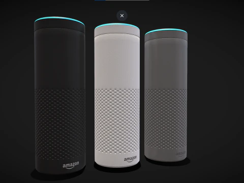 AmazonEchoBlackWhiteGrey 3D Model