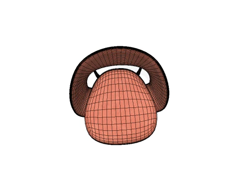 Visionnaire 3D Model