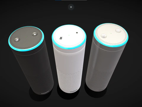 Amazon Echo Black White Grey 3D Model