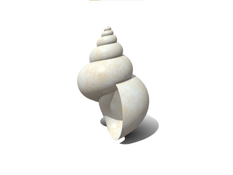 Shell Modelo 3D