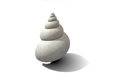 Shell 3D Model