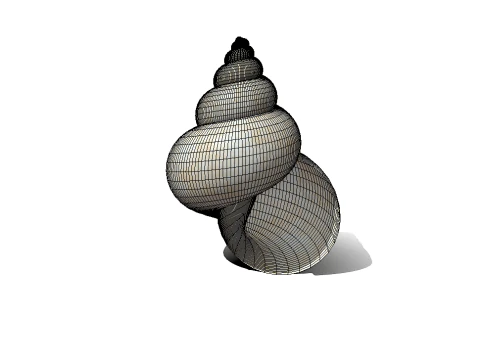 Оболочка 3D Модель