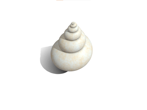 Shell 3D Model
