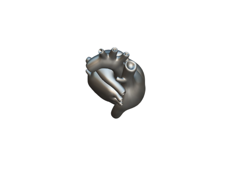 Heart 3D Model