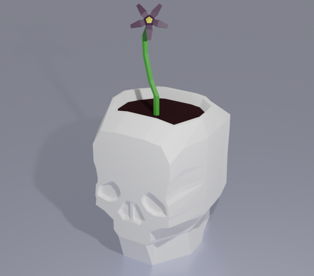 Lowpoly skull shaped flowerpot 3D Модель .c4d .max .obj .3ds .fbx .stl .blend 