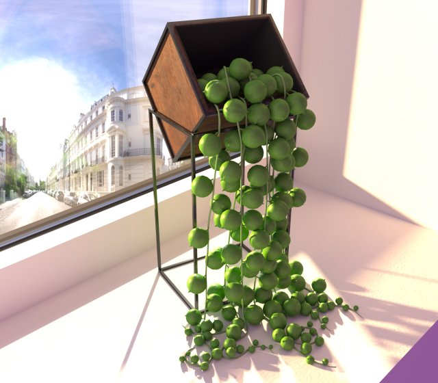 Succulent senecio rowleyanus 3D मॉडल .c4d .max .obj .3ds .fbx .stl .blend