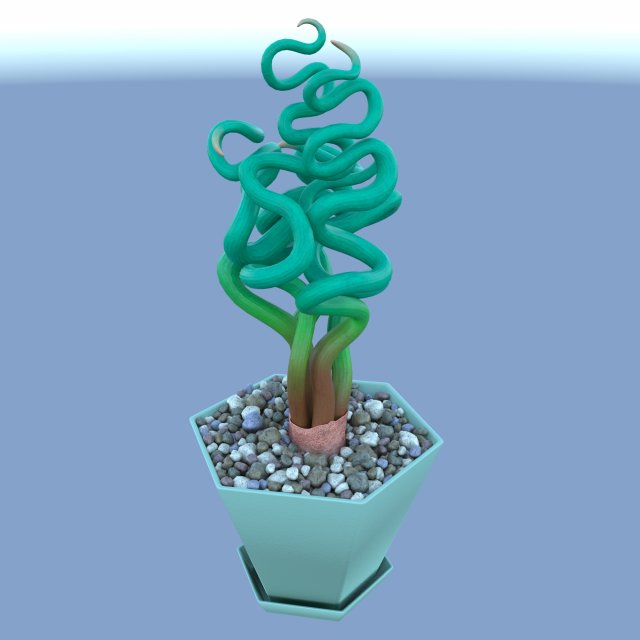 Download Succulent Trachyandra 3D Model