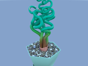 Succulent Trachyandra 3D Model