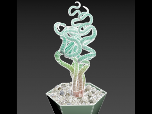 Succulent Trachyandra 3D Model