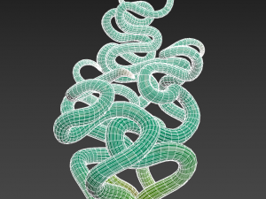 Succulent Trachyandra 3D Model