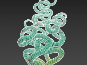 Succulent Trachyandra 3D Model