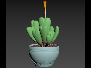 Conophytum succulent 3D Модель