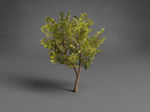Stilisierte B&auml;ume Low-Poly 3D Modell
