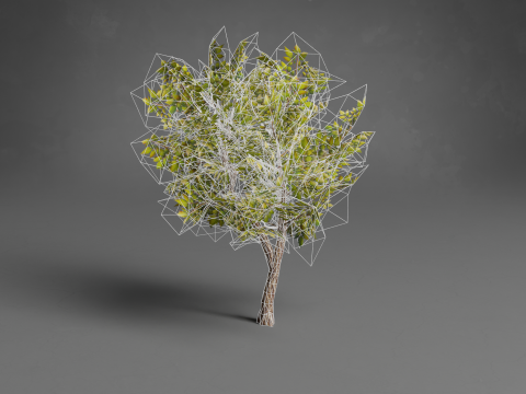 Stylized Trees Low-poly 3D Модель
