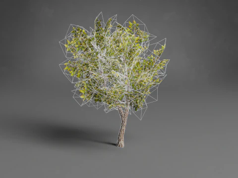 Stilisierte B&auml;ume Low-Poly 3D Modell