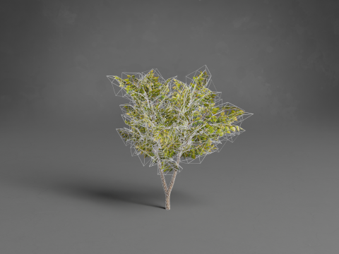 Stylized Trees Low-poly 3D Модель