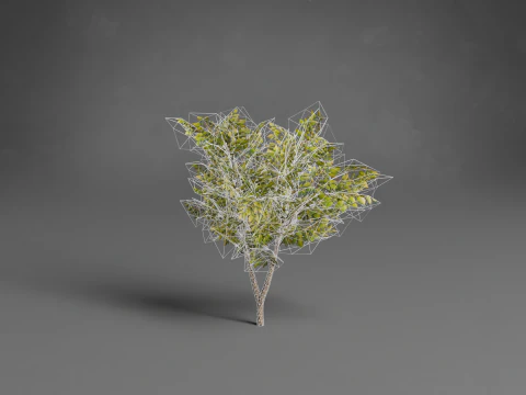 Stilisierte B&auml;ume Low-Poly 3D Modell