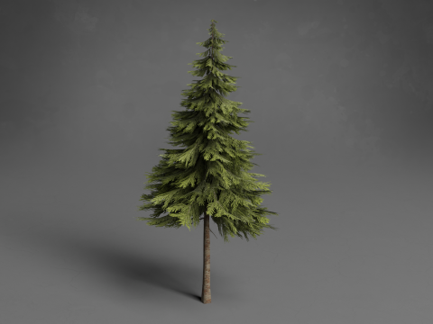 Stylized Trees Low-poly 3D Модель