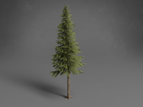 Stylized Trees Low-poly 3D Модель