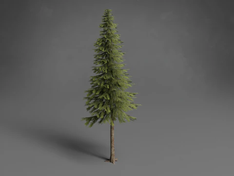 Stilisierte B&auml;ume Low-Poly 3D Modell