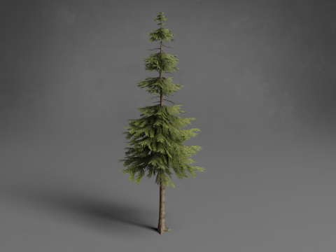 Stylized Trees Low-poly 3D Модель