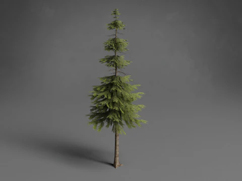 Stilisierte B&auml;ume Low-Poly 3D Modell
