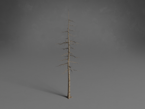Stylized Trees Low-poly 3D Модель