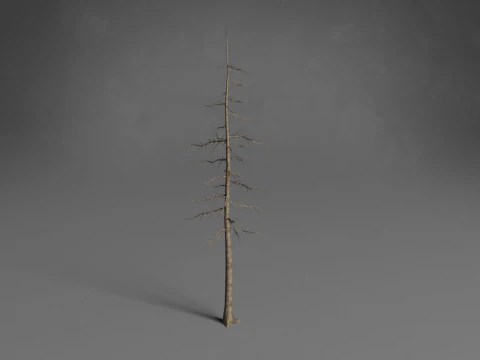 Stilisierte B&auml;ume Low-Poly 3D Modell