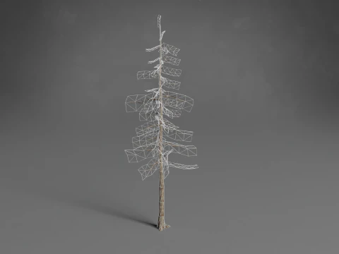 Stilisierte B&auml;ume Low-Poly 3D Modell