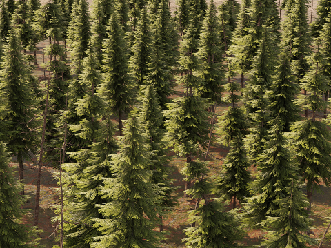 Stylized Trees Low-poly 3D Модель
