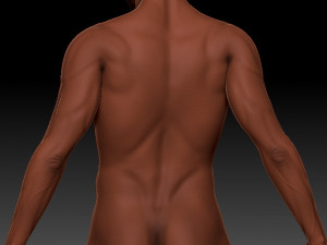 Paul Standing 3D Model