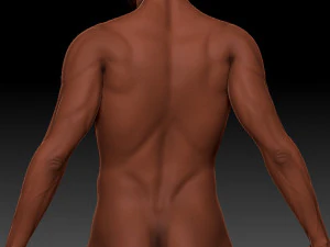 Paul Standing 3D Model