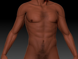 Paul Standing 3D Model