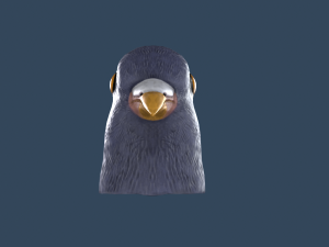 Pigeon mask Model 3D