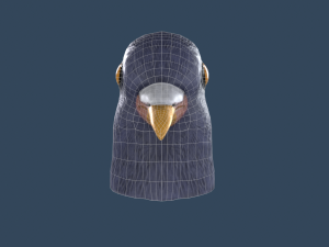 Pigeon mask Model 3D
