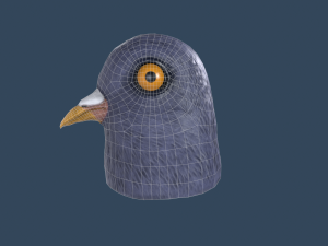 Pigeon mask Model 3D