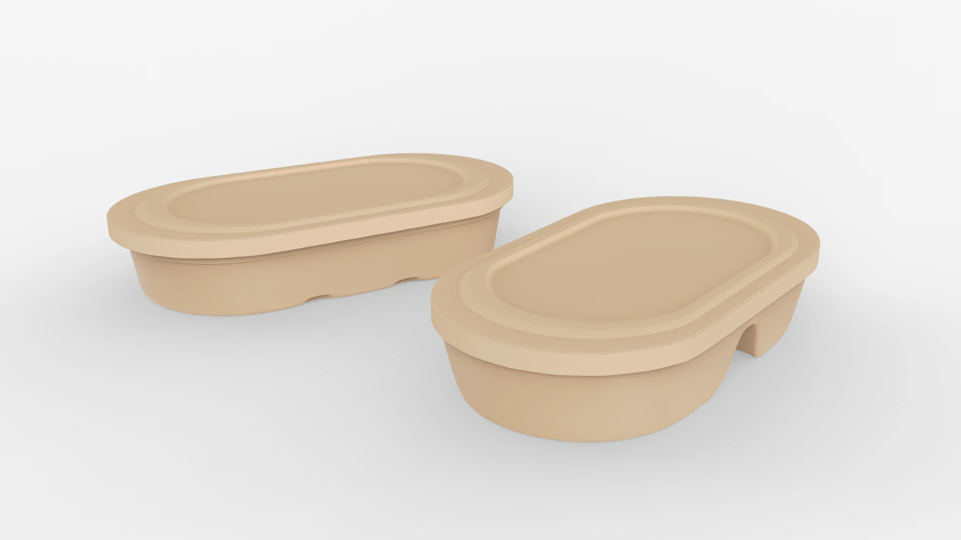 Biodegradable Disposable Lunch Box 3D Model .c4d .max .obj .3ds .fbx .stl .blend 