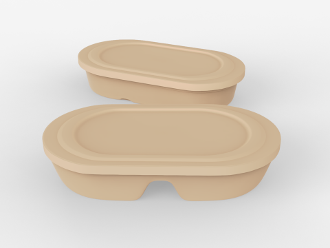 Biodegradable Disposable Lunch Box 3D Model