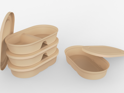 Biodegradable Disposable Lunch Box 3D Model